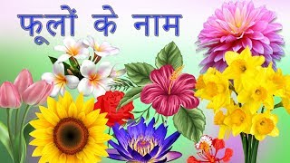 Flowers Names In Hindi  फूलों के नाम  Phoolon Ke Naam  Hindi Flowers Name  Learn Flowers [upl. by Tennos739]