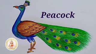 How to draw a peacock step by step very easy waypeacock drawing peacock drawpeacockময়ূর আঁকা [upl. by Annekam]