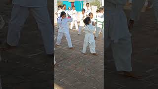 Basic karate Exam complete and get Yellow belt karate exam tamil song love tamil [upl. by Jollenta]