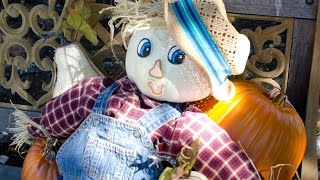 DIY The Easiest Fall Scarecrow Featuring Dads Who Diaper [upl. by Allain486]