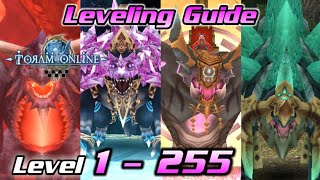 Leveling Guide 1  255  Fastest Route to Level Up your Character  Toram Online  RealityR [upl. by Adihahs982]