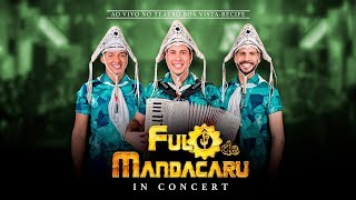 Fulô de Mandacaru  DVD IN CONCERT [upl. by Sherer]