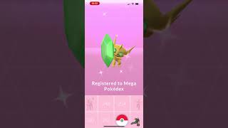 Epic Shiny Sableye Mega Evolution pokemongo pokemon shiny subscribe gaming gameplay [upl. by Metcalf]