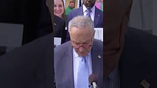 Chuck Schumer says Republicans are lying about IVF support shorts [upl. by Sharyl]