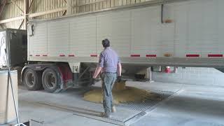 Unloading local hopper truck of soybeans into pit [upl. by Mapes675]