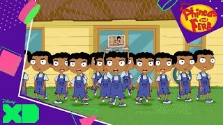 Phineas and Ferb  Baljeet Clones  Official Disney XD UK [upl. by Gratiana264]