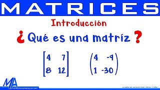 Matrices Introducción  Conceptos básicos [upl. by Acirederf]