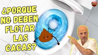 🆘 ¿PORQUE FLOTAN LAS HECES O SE HUNDEN ¿QUE SIGNIFICA 🆘 [upl. by Lussi]