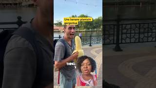 🤔 😳Une banane plantain pas comme les autres  a urge plantain never seen before rare plantain [upl. by Lizbeth]