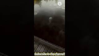 Fancy a swim  😱 scary horrorstory creepy cursed shorts trending [upl. by Dumm]