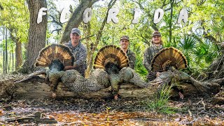 Turkey Hunting FLORIDA 3 GOBBLERS In 2 DAYS [upl. by Uyekawa]