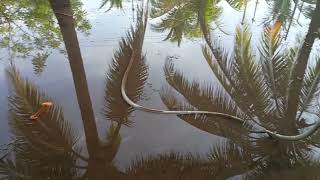 Tormentas Provocan Inundaciones en EL Salvador [upl. by Rapsac788]