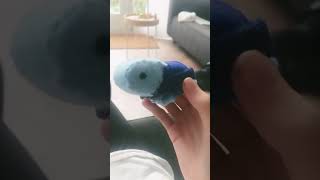 Schildpad gemaakt van vilt💙🐢 diy [upl. by Hew]