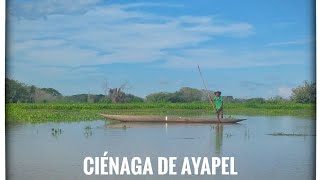 Ciénaga de Ayapel Córdoba [upl. by Trah]