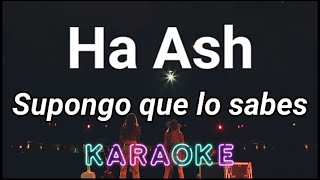 Karaoke Ha Ash Supongo Que Lo Sabes [upl. by Peltz222]