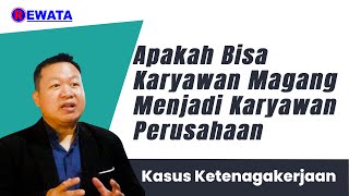 Apakah Bisa Karyawan Magang Menjadi Karyawan Perusahaan  BudiRewataChannel [upl. by Batha869]