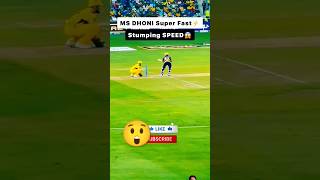 MS dhoni fastest wicket kipping 😎😎 in ipl cricket shorts csk vs kkr [upl. by Arikahc]