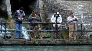 Discover trout fishing in Missouri [upl. by Verner187]