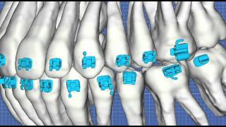 Orthodontics By CrutchfieldL [upl. by Florrie816]