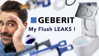 How to repair my geberit flush  wallhung wc  LINSTAN [upl. by Lynne]