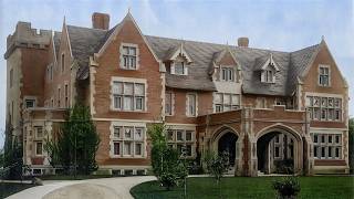 The Millionaire Doctor Who Risked Everything to Save a Puppy Inside the Newman Mansion in Detroit [upl. by Anidualc]