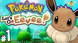 Pokemon Lets Go Eevee  100 Full Game Walkthrough  PART 1 [upl. by Bara]