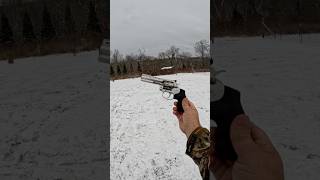 Colt King Cobra Target 22 Double Action Plinking [upl. by Emylee789]