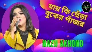 Jay Ki Chere Buker Pajor  Nazu Akhond  Vibration Music Planet [upl. by Namsaj]