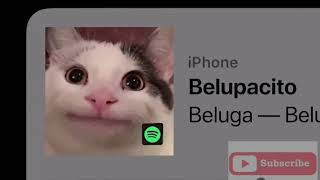 BelugaBelupacito Official Video [upl. by Bartolomeo]