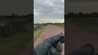 crested goshawk training hunting bird fypシ゚viral treding [upl. by Billen]