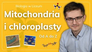 Mitochondria i chloroplasty organelle półautonomiczne od A do Z [upl. by Nitsirc]