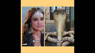 All nagin and snake 🐍naagin naagin3 surbhijyoti shorts [upl. by Phares]