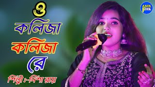 ও কলিজা কলিজা রে  O Kolija Kolija Re শিল্পী দিশা রায়  Sad Song  Disha Roy Baul gun [upl. by Peggy]