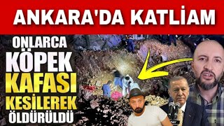 Ekrem İmamoğlu Altındağ Köpek cevheri Güven Erdoğan Galatasaray Fakir fukara bugün [upl. by Boles]