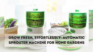 Automatic Sprouter Machine  Intelligent Automatic Bean Sprouts Maker [upl. by Liberati752]