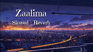 Zaalima  Slowed amp Reverb [upl. by Oleta]