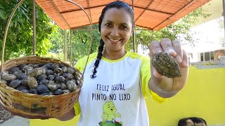 BOLO FOFINHO DE CASTANHOLA AMENDOEIRA [upl. by Tingley]