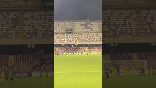 Gol della Salernitana dalla Curva Emozioni Senza Fine 🔥 [upl. by Demetra]