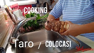 COOKING TARO Colocasia with pork on my own recipe [upl. by Nnairek]