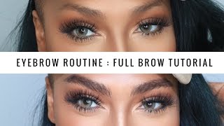 FEATHERED BROWS UPDATED EYEBROW ROUTINE  SONJDRADELUXE [upl. by Demahum]