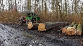 LKT 80 MA CIĘŻKOŚcinka i Zrywka Ponad 100 Letnich DębówStihl MS 461 Ferie 2019 [upl. by Atteloj]