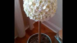 Hydrangea Tree Topiary From wwwDecorStealscom Previously WUSLU [upl. by Rosalinde]