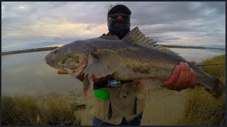 Pesca de Robalo con señuelo en el Rio  Chubut  Rawson ARRGENTINA [upl. by Arianne]