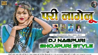 Bhojpuri Song  Nagpuri Style Mix  परी लागेलू Dj Mehinand Raj Dumar Tola [upl. by Nnaeilsel]