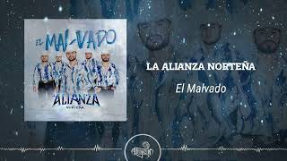 La Alianza Norteña  El Malvado 2024 [upl. by Yde]