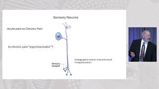 01 Glenn Treisman Chronic Pain and Pain Amplification Seeing the Whole Elephant [upl. by Islaen258]