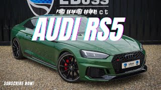 2018 AUDI RS5 PURE EXHAUST SOUND [upl. by Guillermo]