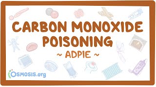 Carbon monoxide poisoning Nursing Process ADPIE [upl. by Pacian]