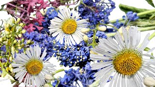 Drying Small Flowers In Silica Gel [upl. by Nahsaj]