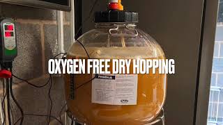 Fermzilla Oxygen Free Dry Hopping [upl. by Ileyan]